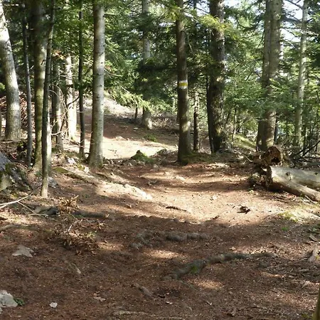 43 Lägenhet Oberhoflein