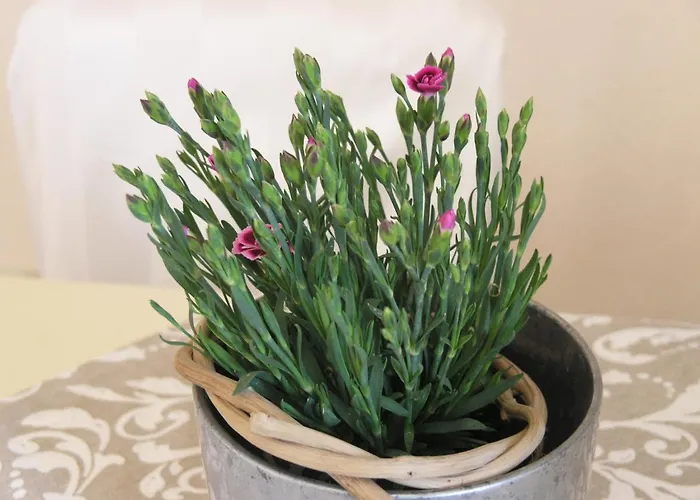 Appartement 43 Oberhoflein