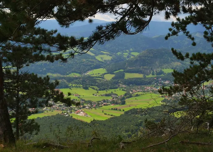 43 Appartement Oberhoflein