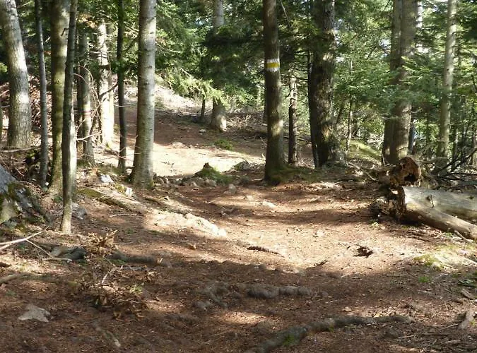 43 Appartement Oberhoflein